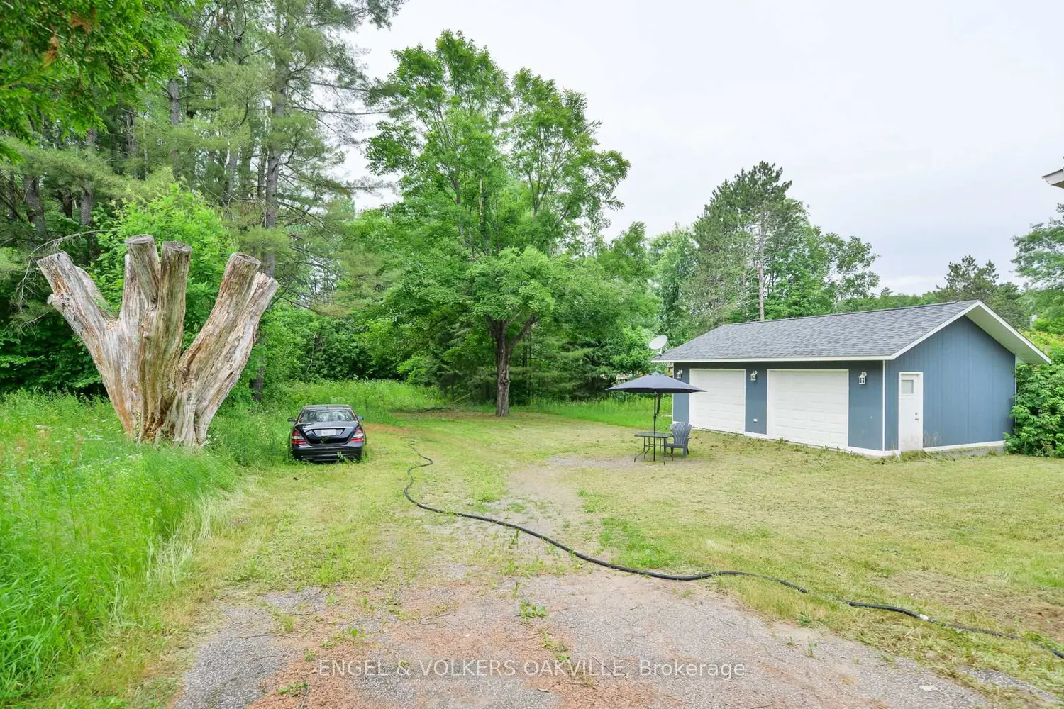 253 Maple Street photo 4