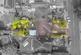 Additional image 34 of Clarence Road, Four Oaks
