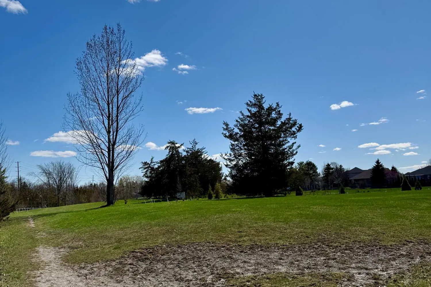 Additional image 17 of 17 Tracey Park Drive 25