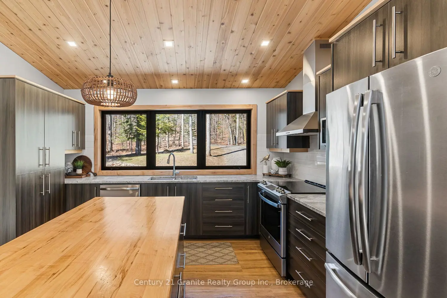 1133 Sisu Lane photo 5
