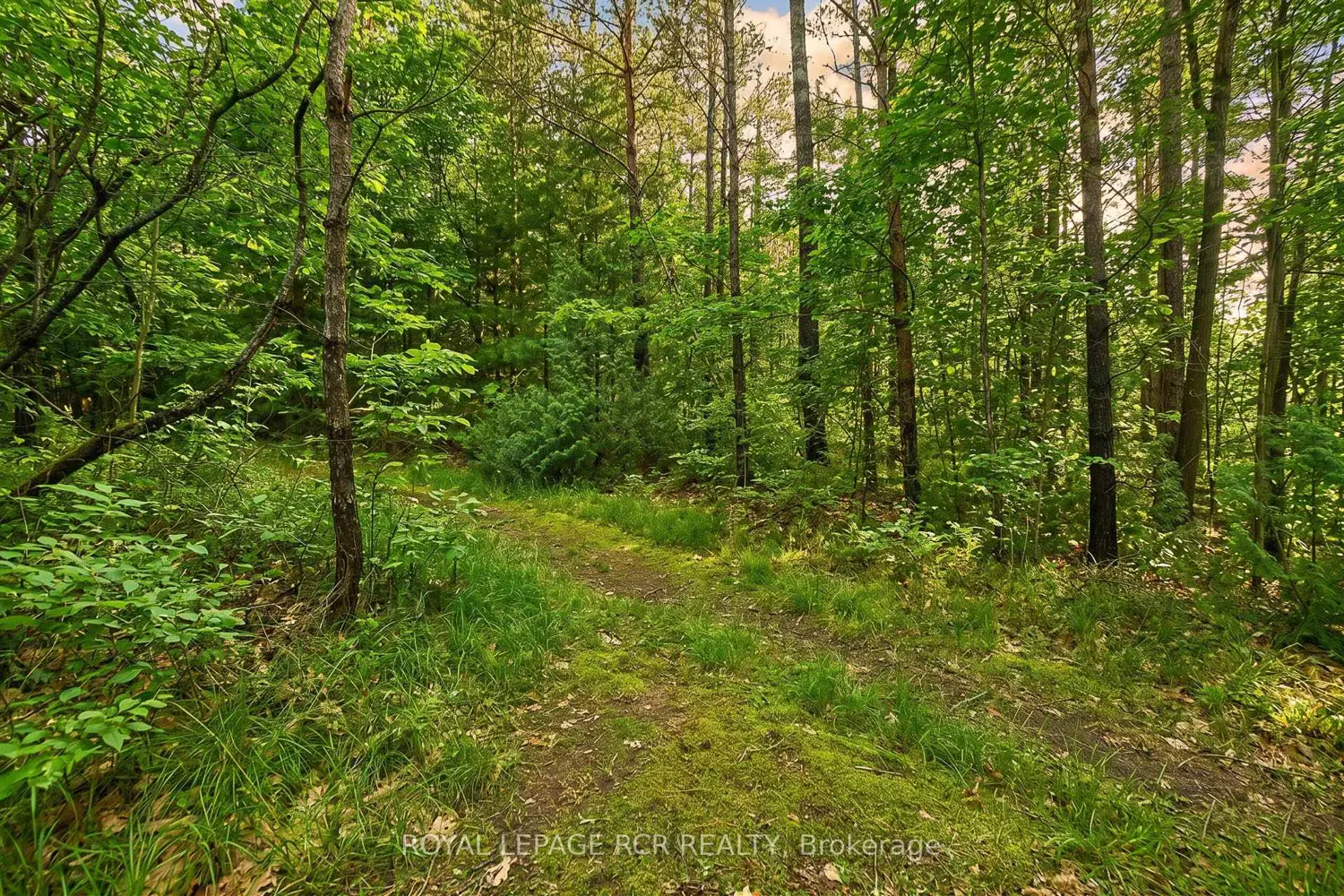 Additional image 19 of 4143 Vivian Road