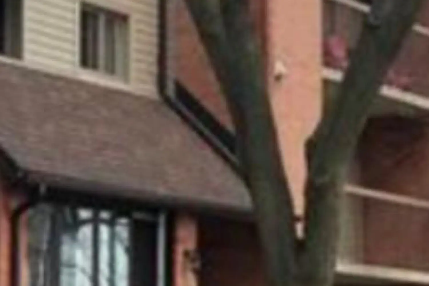 30 Hickory Street 111 photo 2