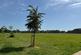 Additional image 14 of Molyneux Road, Ashley, New Milton, Hampshire, BH25
