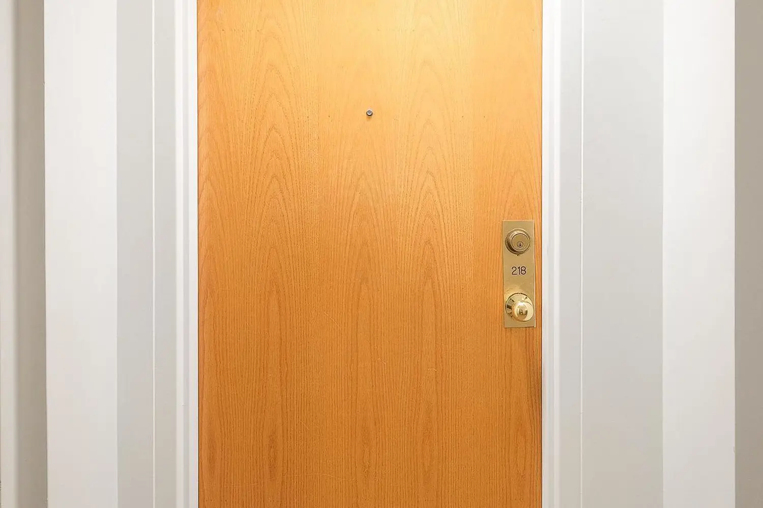 921 Armour Road 218 photo 3