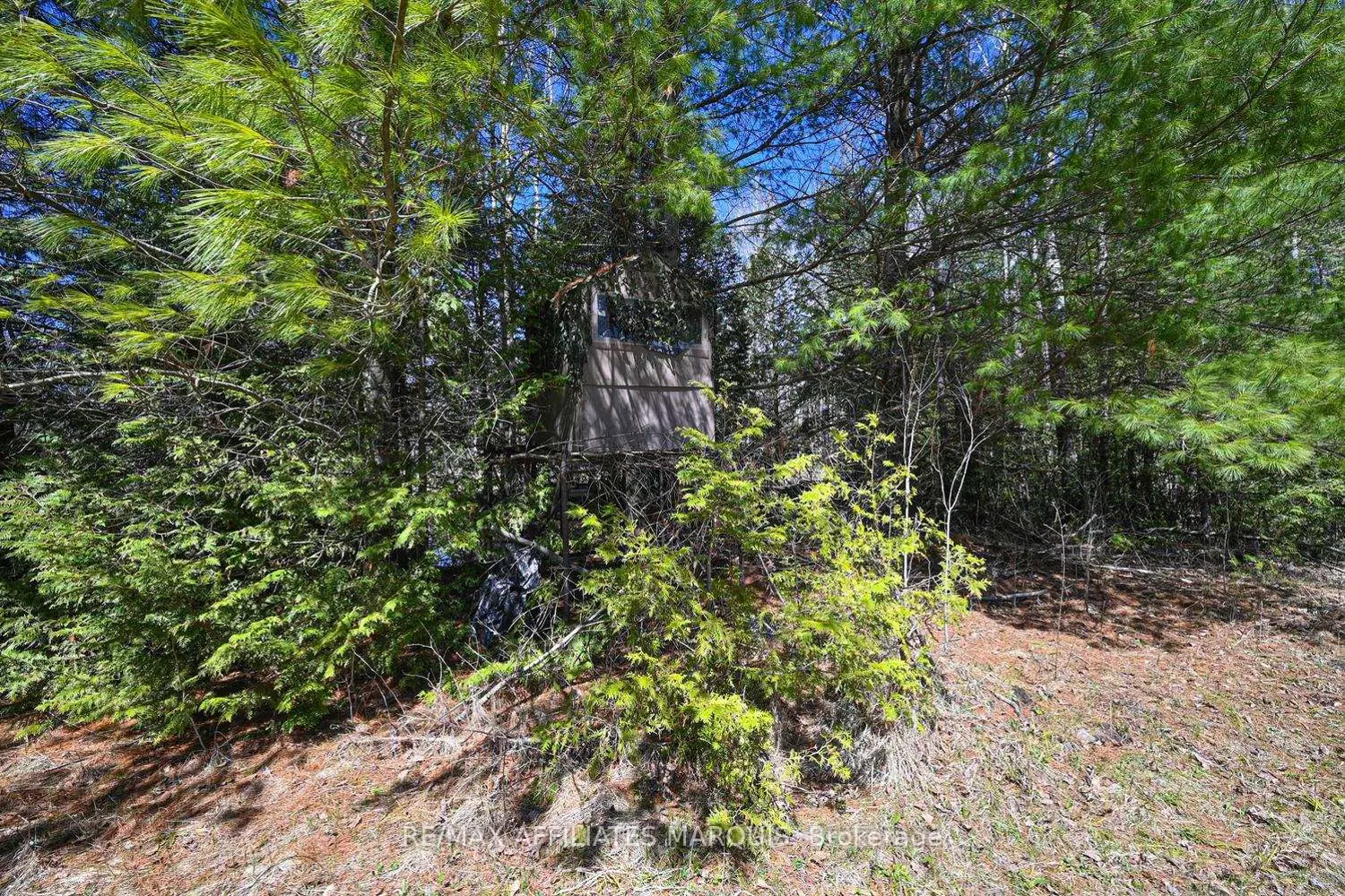 Additional image 18 of 375 Ferguson Tetlock Road