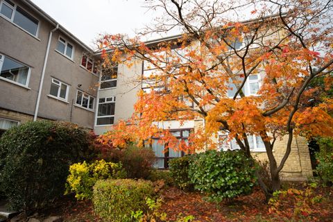 Barbrook Close, Lisvane, Cardiff CF14