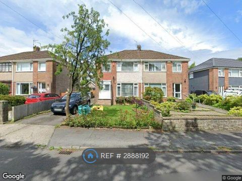 Ridgeway, Swansea SA2, Room to rent