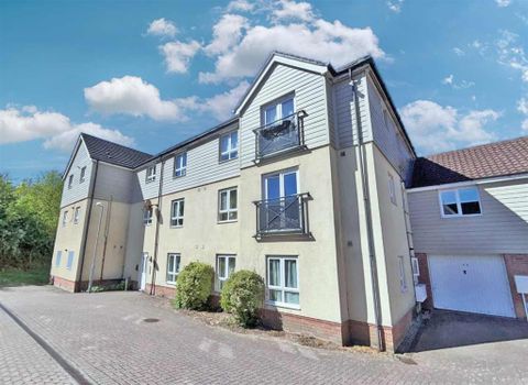 Magnolia Way, Costessey, Norwich NR8