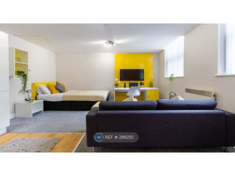 Millstone Place, Leicester LE1, Studio to rent