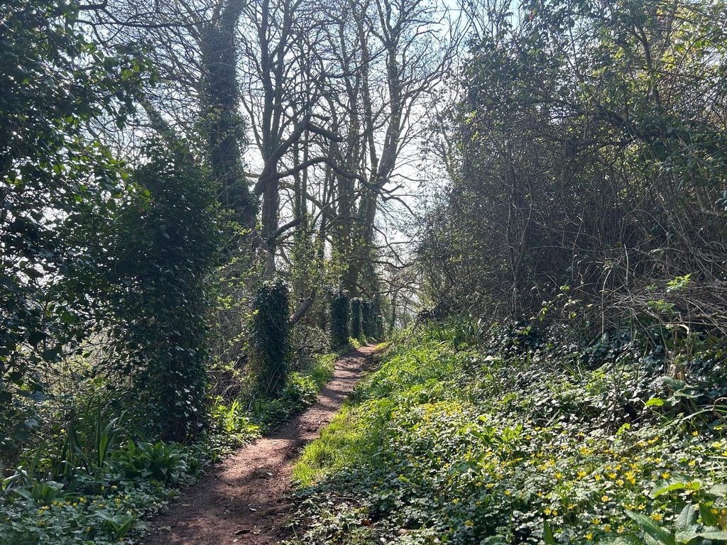 Land for saleTorquay, Devon TQ2 photo 5
