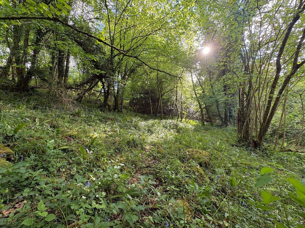 Additional image 8 of Land for saleIpplepen, Newton Abbot TQ12