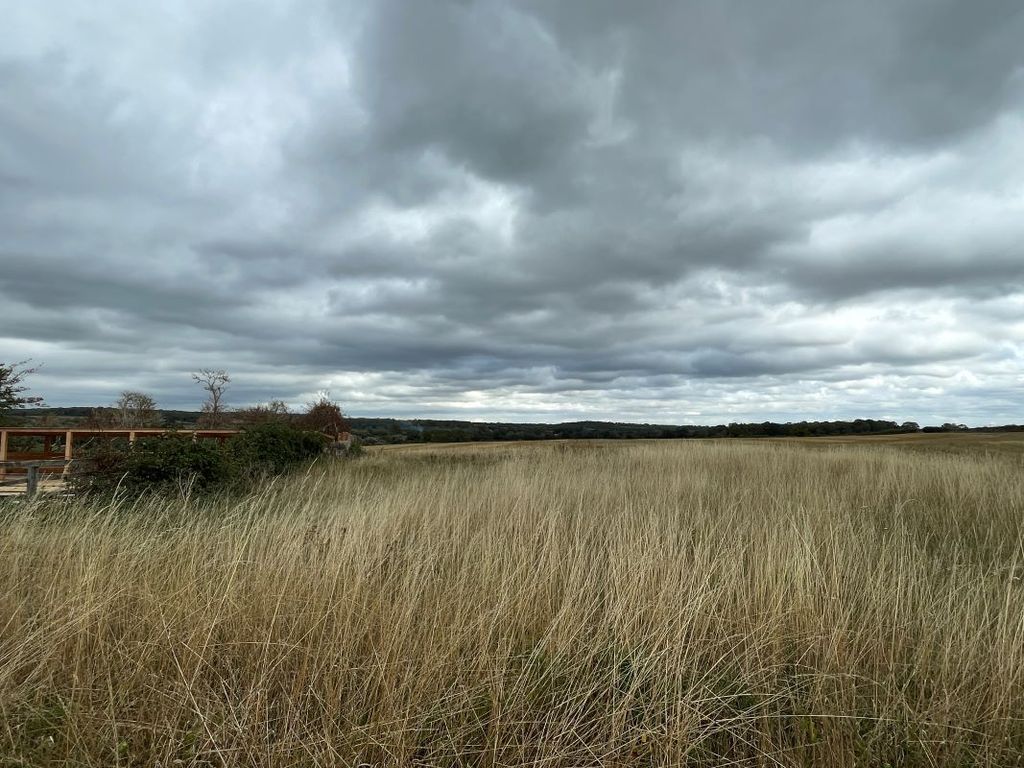 Additional image 12 of Land for saleLand Opposite Hill Farm, Felmersham Road, Carlton, Bedfordshire MK43