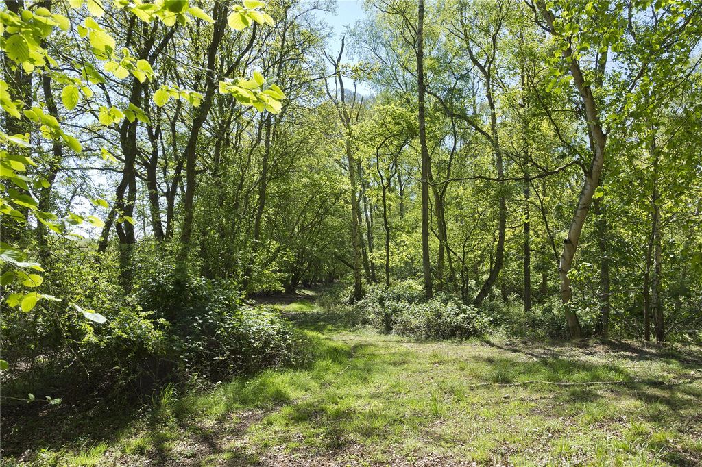 Additional image 15 of Land for salePark Farm, Bylaugh, Dereham, Norfolk NR20