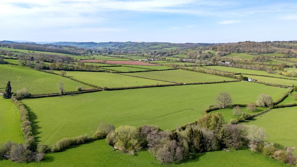 Land for saleTurnastone, Vowchurch, Hereford, Herefordshire HR2