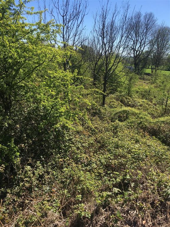 Additional image 7 of Land for saleMiddleton-By-Youlgrave, Bakewell DE45