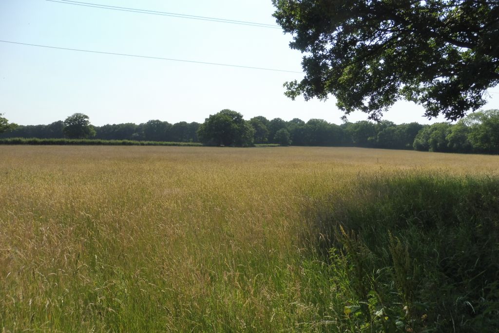 Additional image 2 of Land for sale6.292 Acres Of Pastureland, Sinton Green WR2