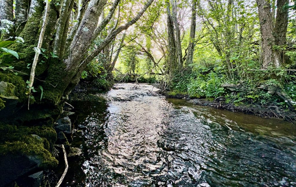 Additional image 8 of Land for saleBickington, Newton Abbot TQ12