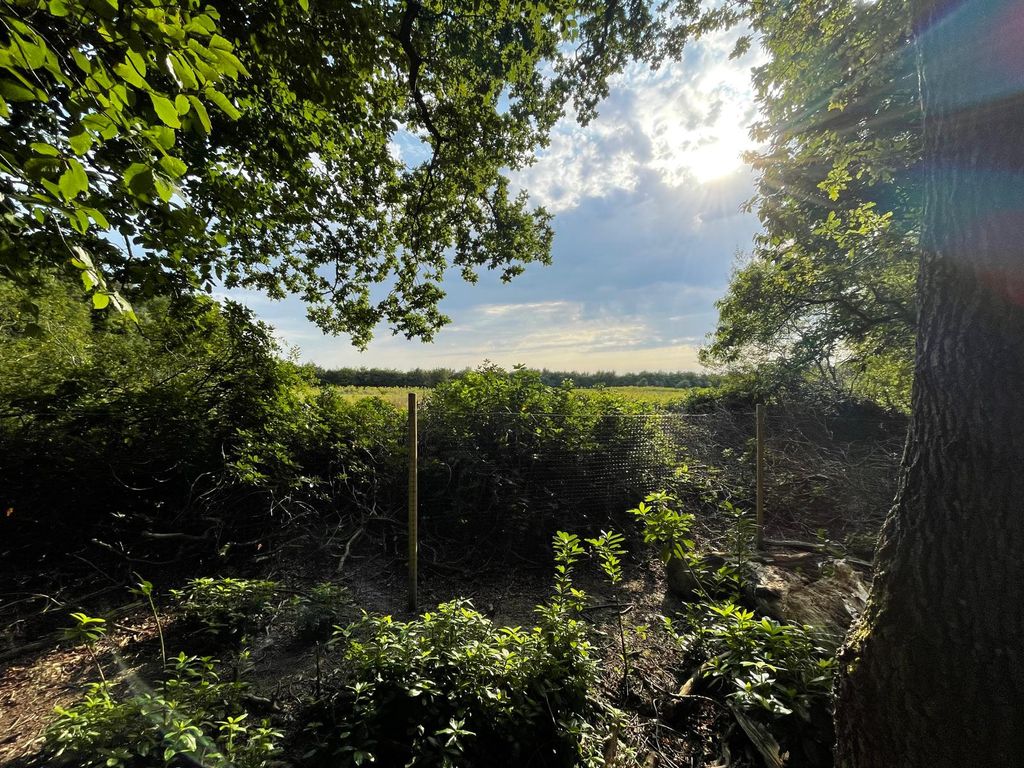 Land for saleForest Road, Colgate, Horsham RH12