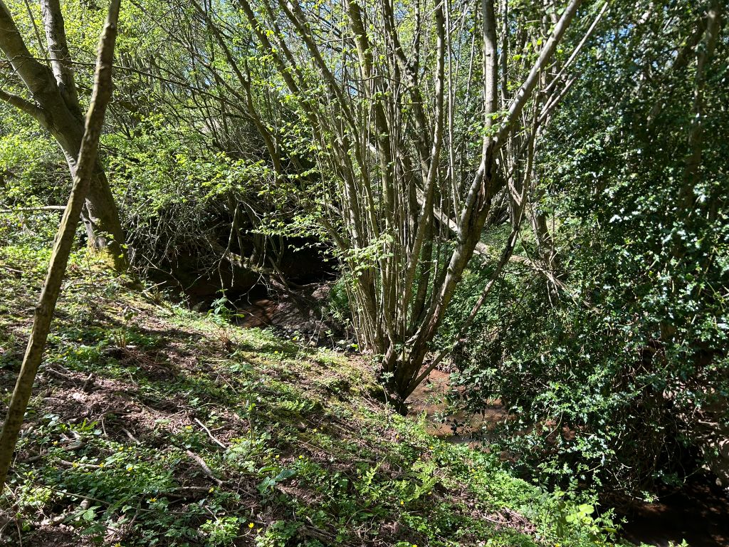 Additional image 4 of Farm for saleMarston Stannett, Risbury, Leominster HR6