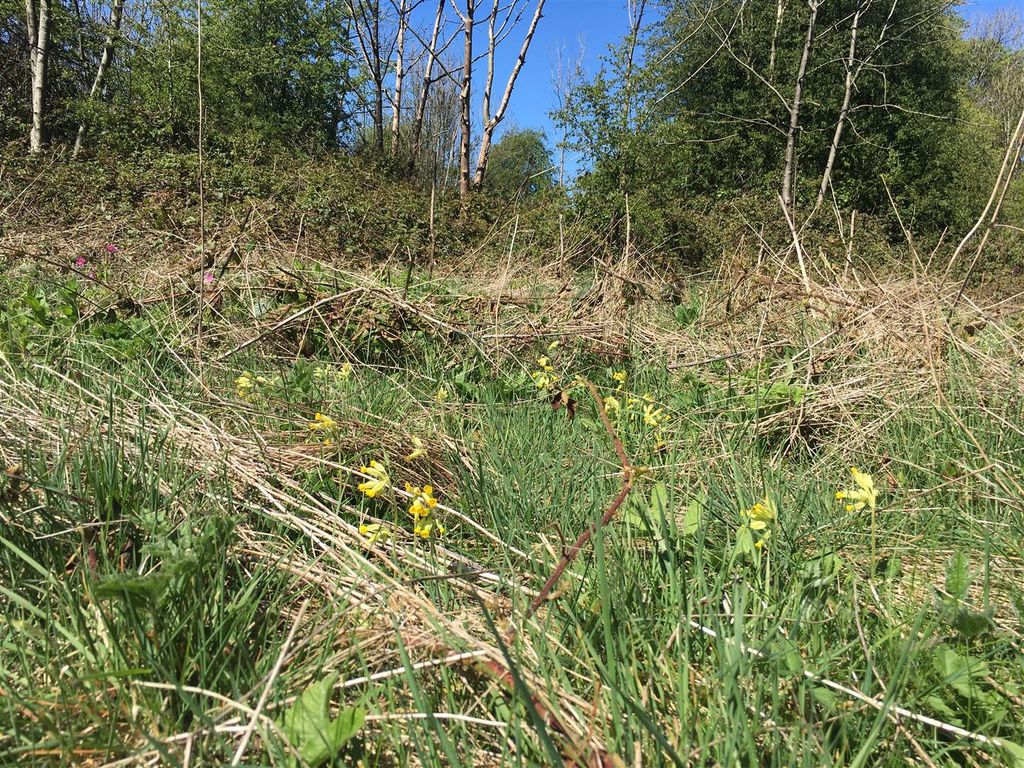 Additional image 10 of Land for saleMiddleton-By-Youlgrave, Bakewell DE45