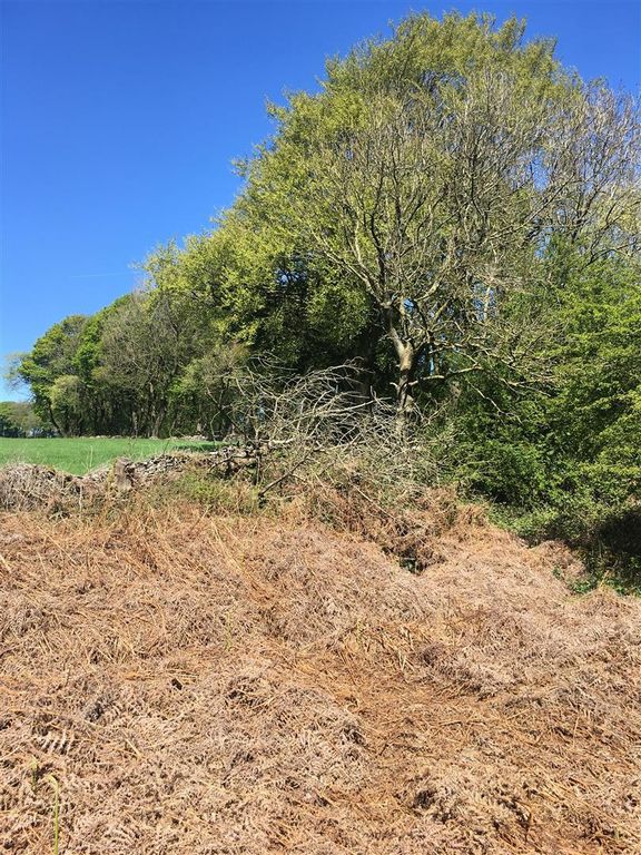 Additional image 5 of Land for saleMiddleton-By-Youlgrave, Bakewell DE45