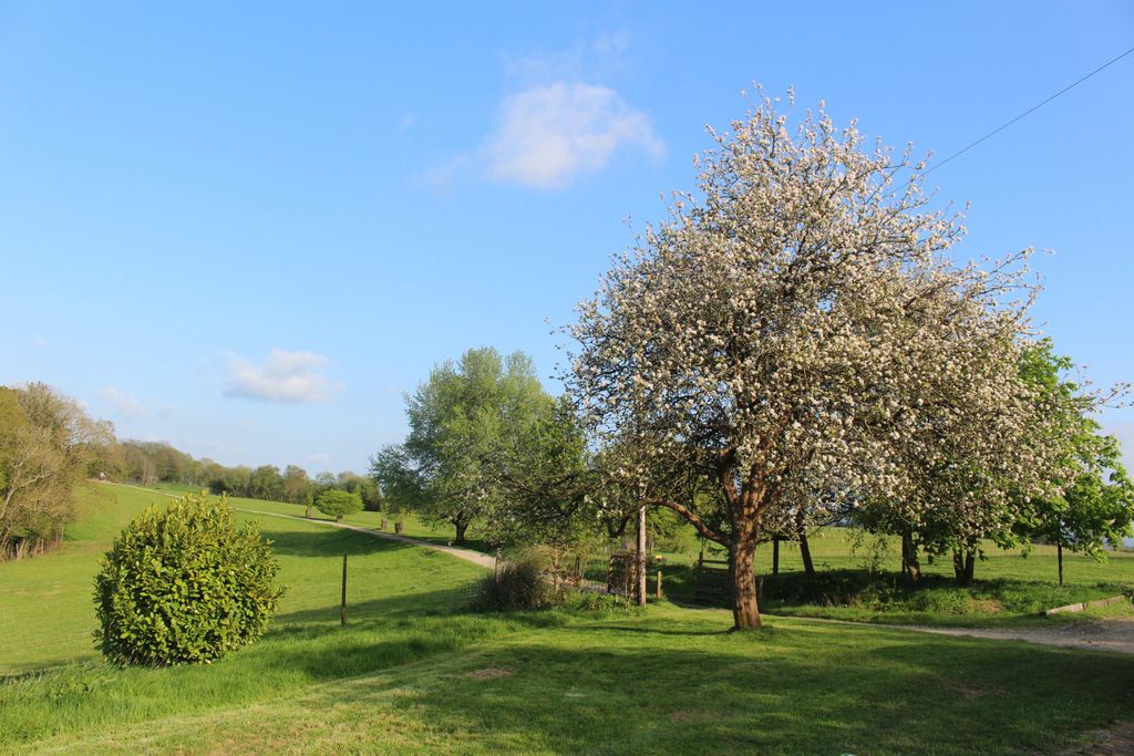 Additional image 26 of 6 bed farm for saleHatherleigh, Okehampton, Devon EX20