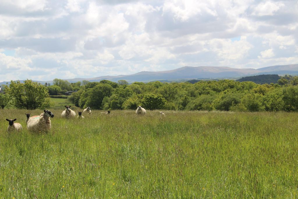 Additional image 35 of 6 bed farm for saleHatherleigh, Okehampton, Devon EX20