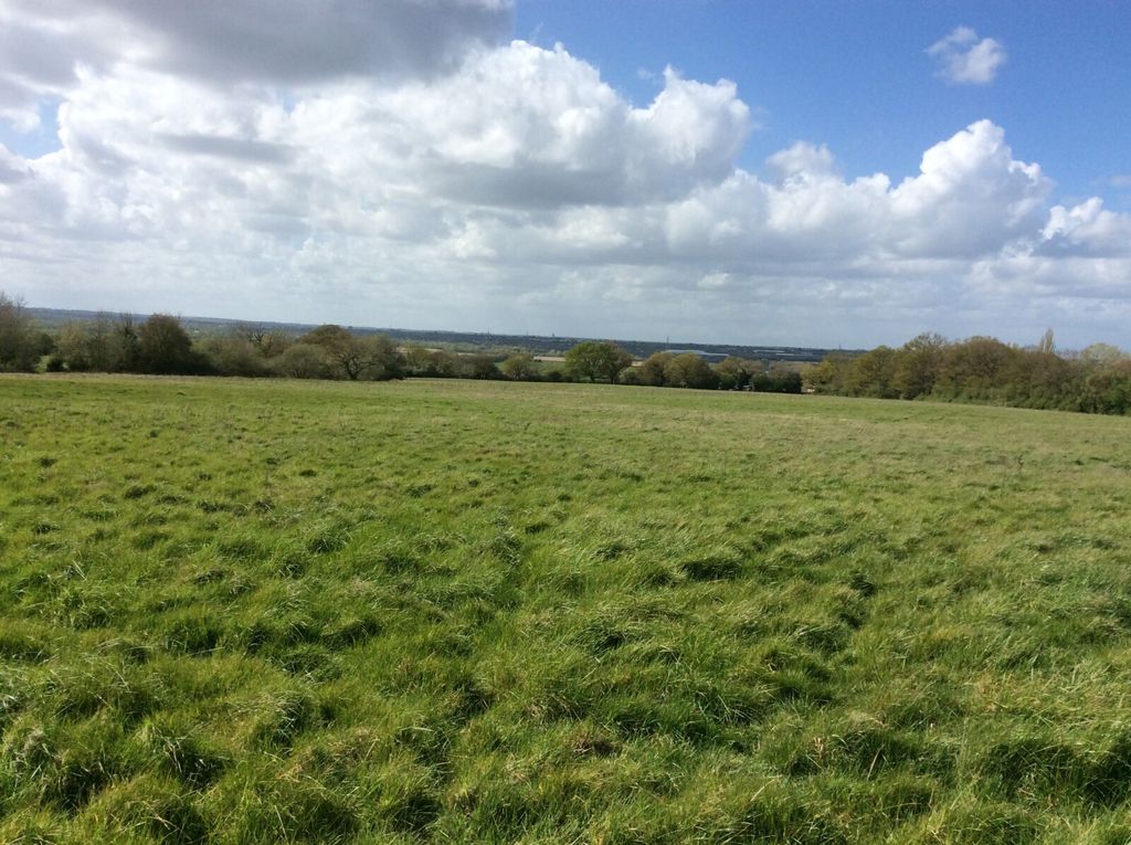 Additional image 6 of Land for saleNew Lodge Chase, Little Baddow, Chelmsford CM3