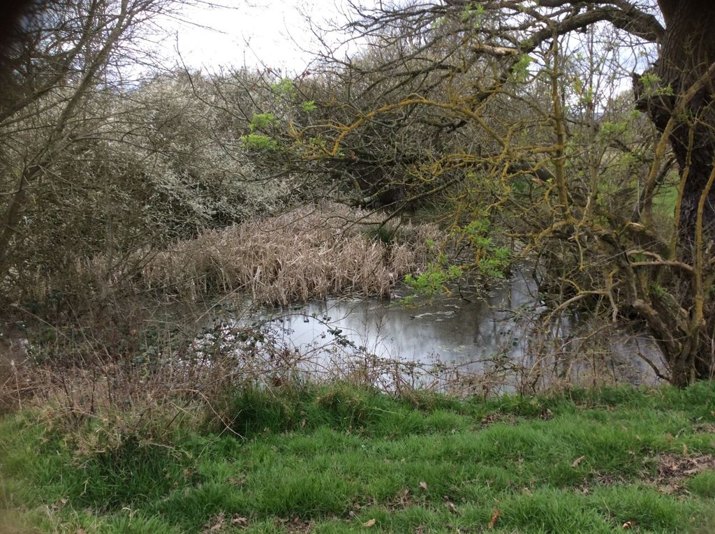 Additional image 10 of Land for saleNew Lodge Chase, Little Baddow, Chelmsford CM3