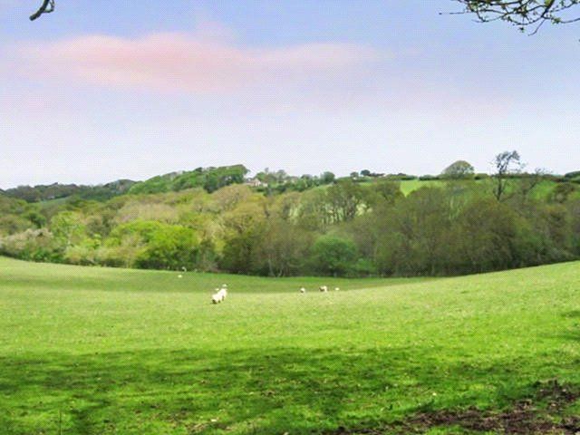 Additional image 4 of Land for saleHolford, Bridgwater, Somerset TA5