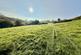 Additional image 31 of Pisgah, Aberystwyth SY23