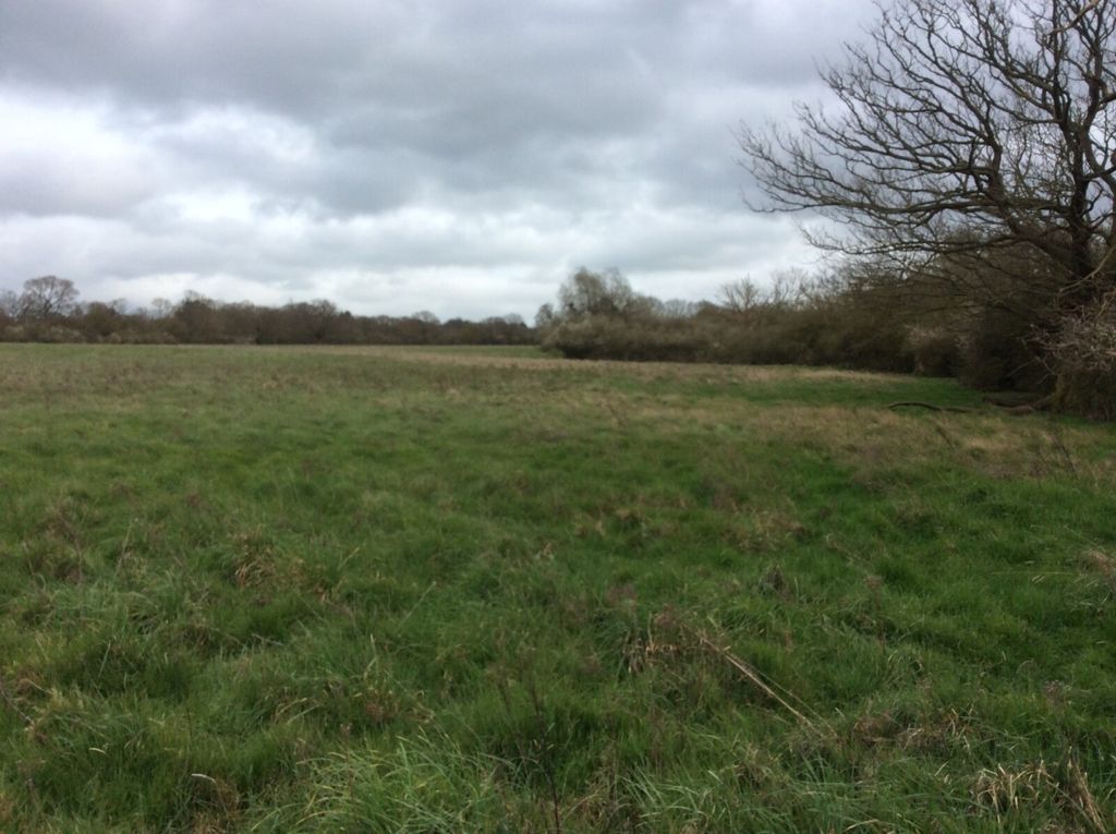 Additional image 4 of Land for saleNew Lodge Chase, Little Baddow, Chelmsford CM3