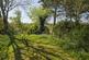 Additional image 31 of The Lawn, Brent Hill, Faversham