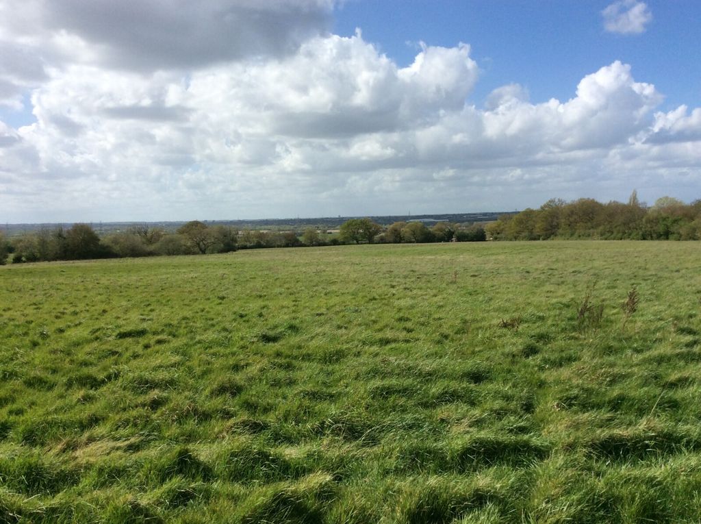 Additional image 3 of Land for saleNew Lodge Chase, Little Baddow, Chelmsford CM3