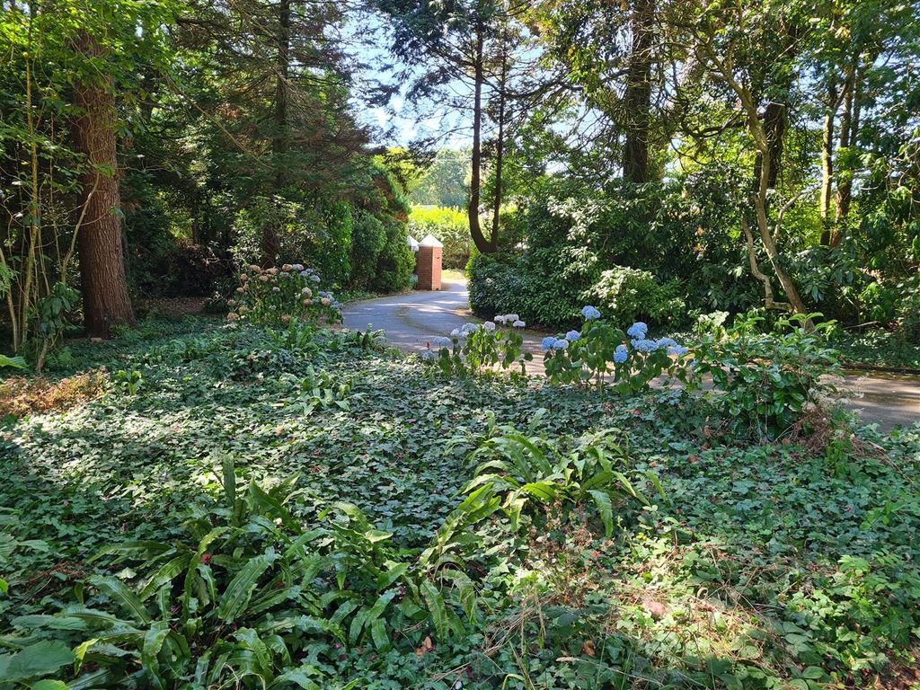 Additional image 11 of Land for saleChapel, Launceston PL15