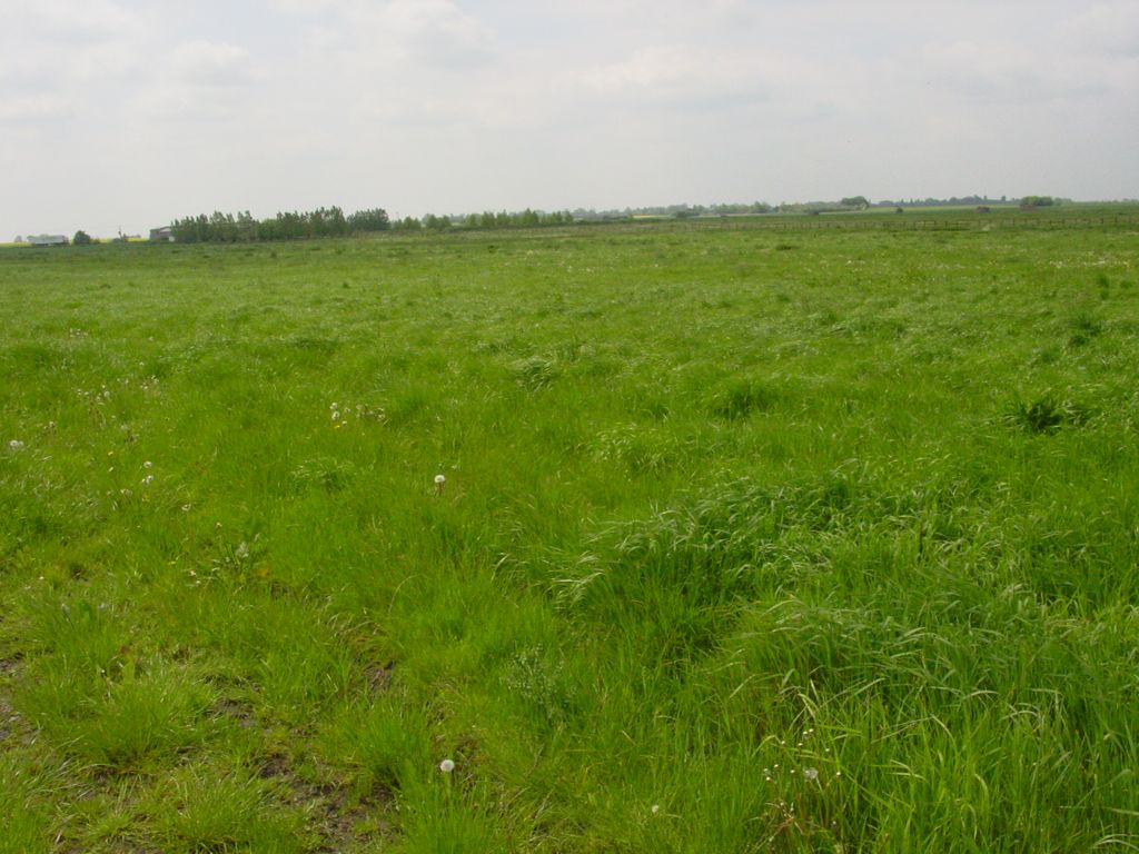 Additional image 2 of Land for saleNew Road, Chatteris PE16
