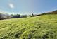 Additional image 27 of Pisgah, Aberystwyth SY23