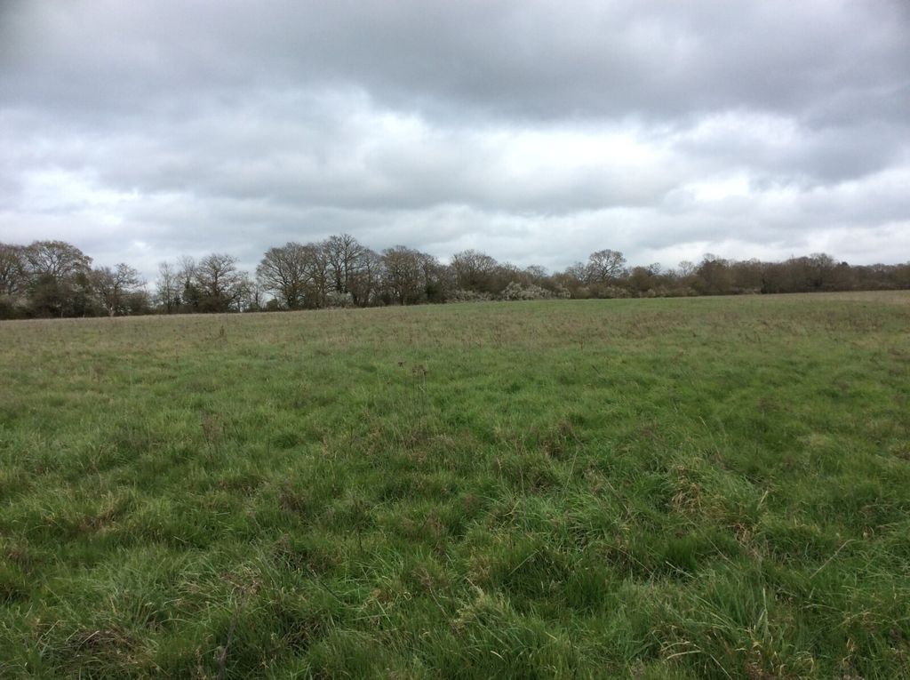Additional image 5 of Land for saleNew Lodge Chase, Little Baddow, Chelmsford CM3
