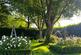 Additional image 36 of Dingleden, Benenden, Cranbrook, Kent, TN17