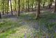 Additional image 17 of Llanidloes Llanidloes