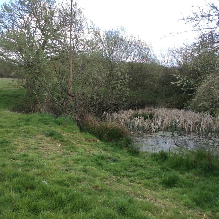 Additional image 9 of Land for saleNew Lodge Chase, Little Baddow, Chelmsford CM3