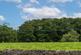 Additional image 15 of Sandholme Drive, Giggleswick, Settle, BD24