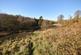 Additional image 39 of Llanfihangel-ar Arth, Carms SA39