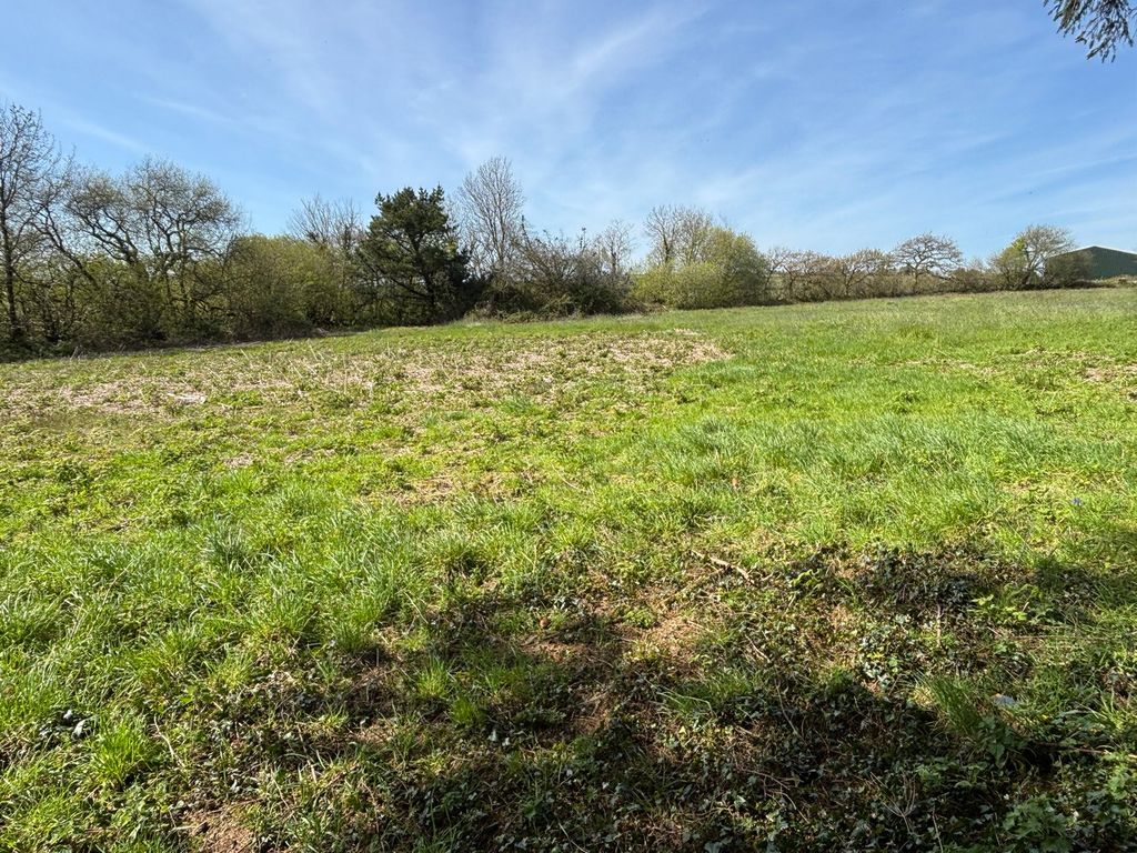 Additional image 19 of 4 bed farm for saleBlaenycoed Road, Carmarthen SA33