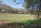 Additional image 13 of Critchmere Hill, Haslemere, Surrey