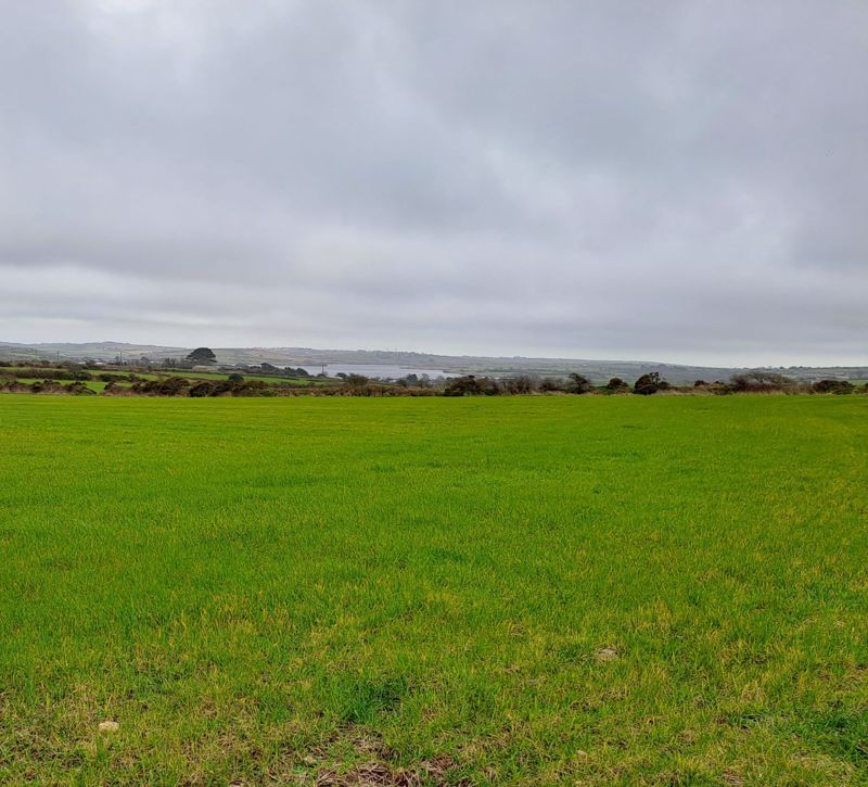 Land for salePenhalvean, Redruth TR16 photo 3