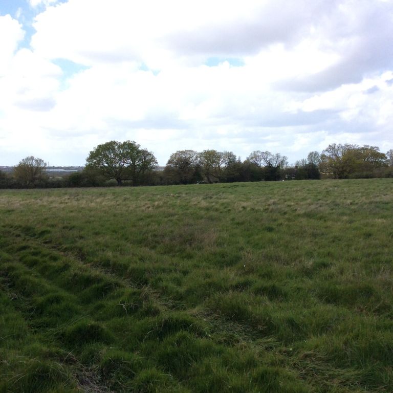 Additional image 7 of Land for saleNew Lodge Chase, Little Baddow, Chelmsford CM3