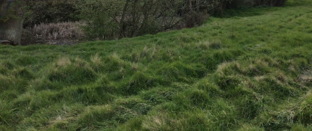 Additional image 11 of Land for saleNew Lodge Chase, Little Baddow, Chelmsford CM3