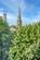 Additional image 16 of 21-23 St. Pauls Square, Jewellery Quarter, Birmingham, West Midlands, B3