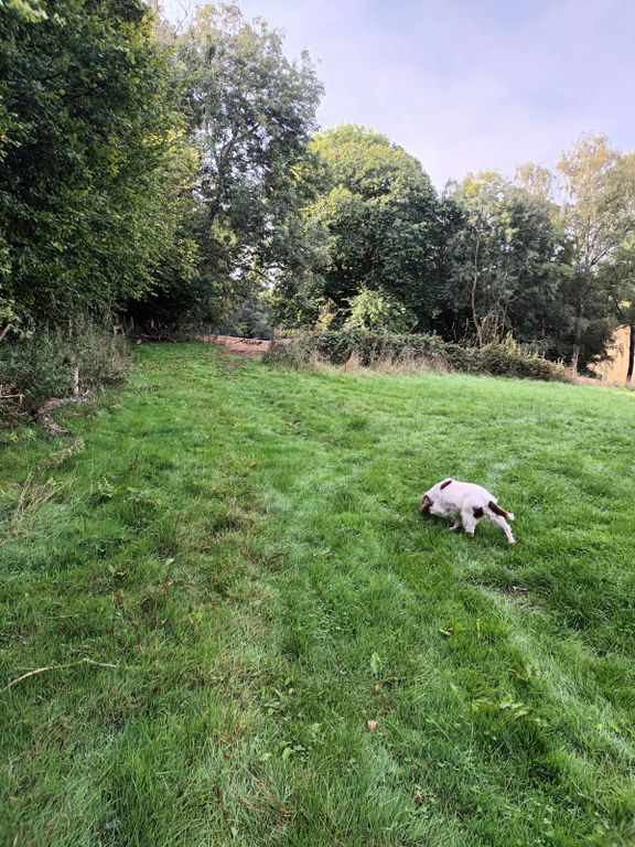 Additional image 12 of Land for saleChurch Lane Chelsham, Warlingham CR6